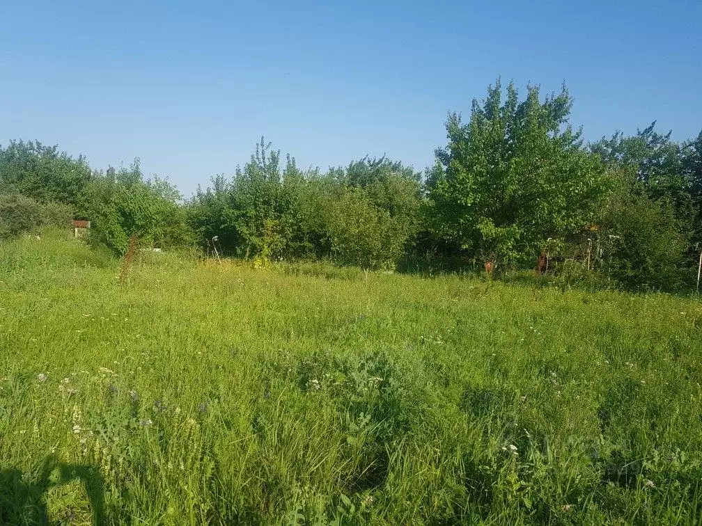 Участок в Ростовская область, Ростов-на-Дону Урожай садовое ... - Фото 2