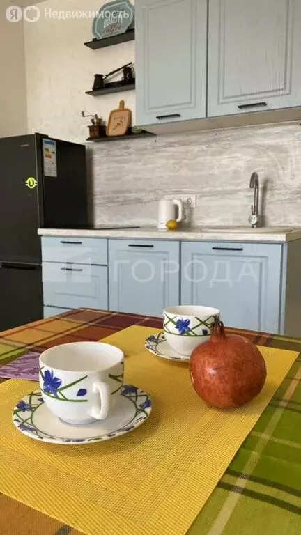 Квартира-студия: Новосибирск, улица Забалуева, 96 (24.1 м) - Фото 2