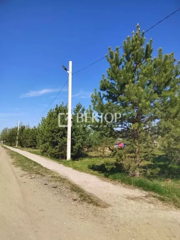 Участок в Костромская область, Кострома Первый кп, проезд Даниловский ... - Фото 1