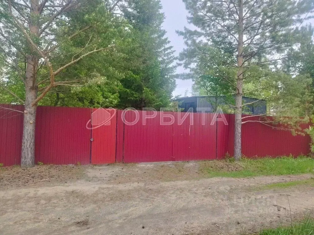 Участок в Тюменская область, Нижнетавдинский район, Здоровье-3 СТ  ... - Фото 0