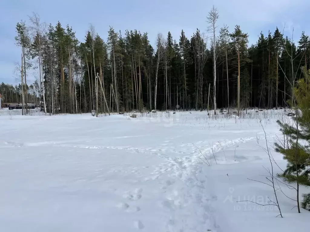 Участок в Коми, Сыктывкар городской округ, Краснозатонский пгт ул. ... - Фото 0