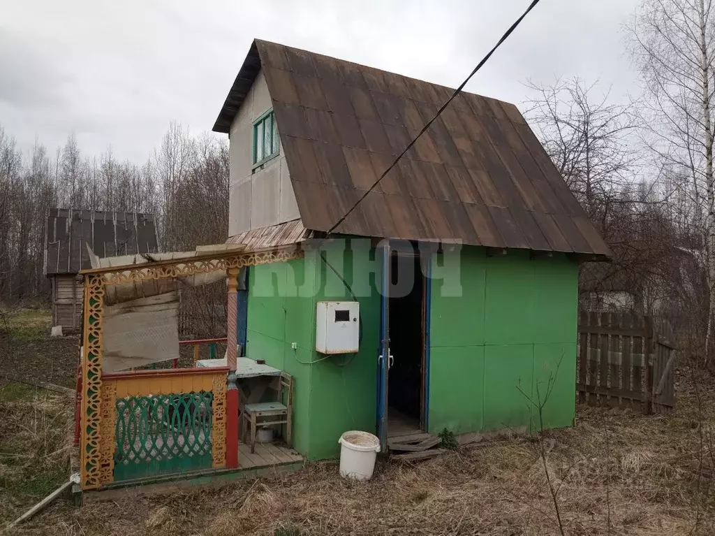 Дом в Вологодская область, Сокольский муниципальный округ, Нива ... - Фото 1