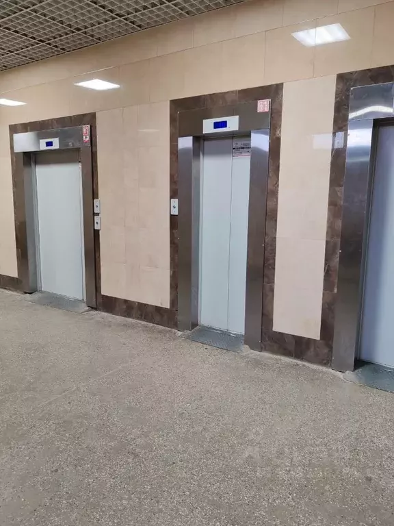 Комната Санкт-Петербург Брестский бул. (12.0 м) - Фото 1