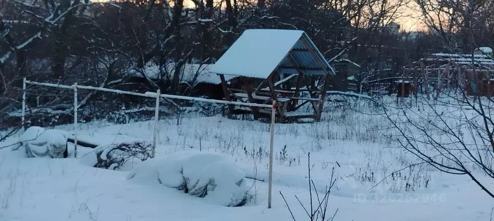 Участок в Волгоградская область, Волгоград Мичуринец СНТ,  (8.0 сот.) - Фото 2