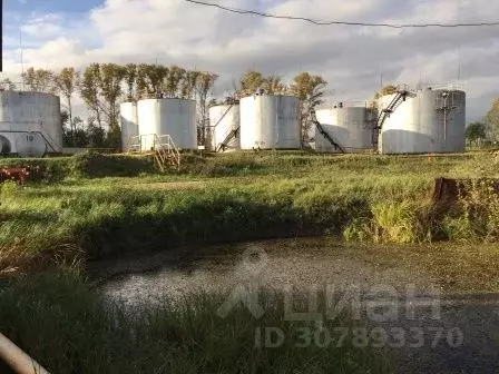 Производственное помещение в Нижегородская область, Семеновский ... - Фото 0