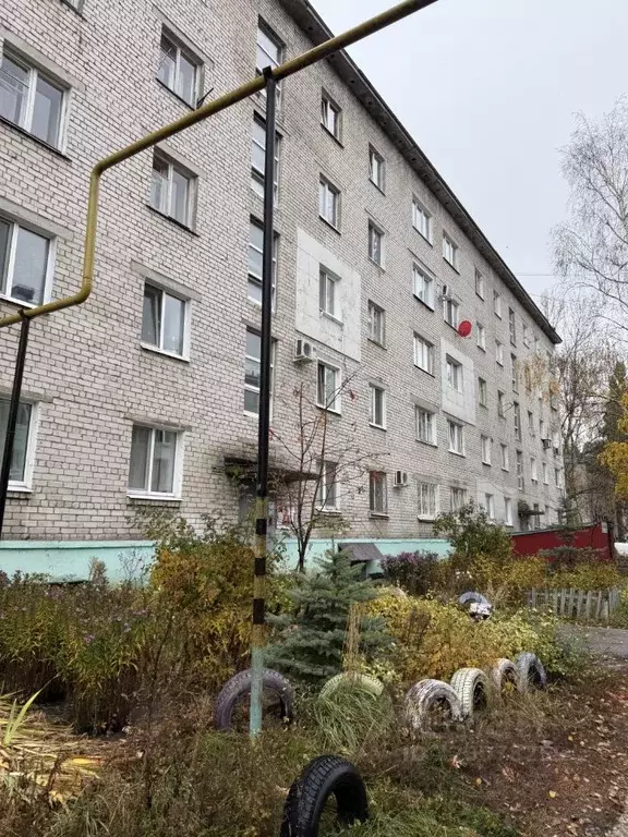 1-к кв. Ульяновская область, Димитровград ул. М. Тореза, 3А (18.0 м) - Фото 2