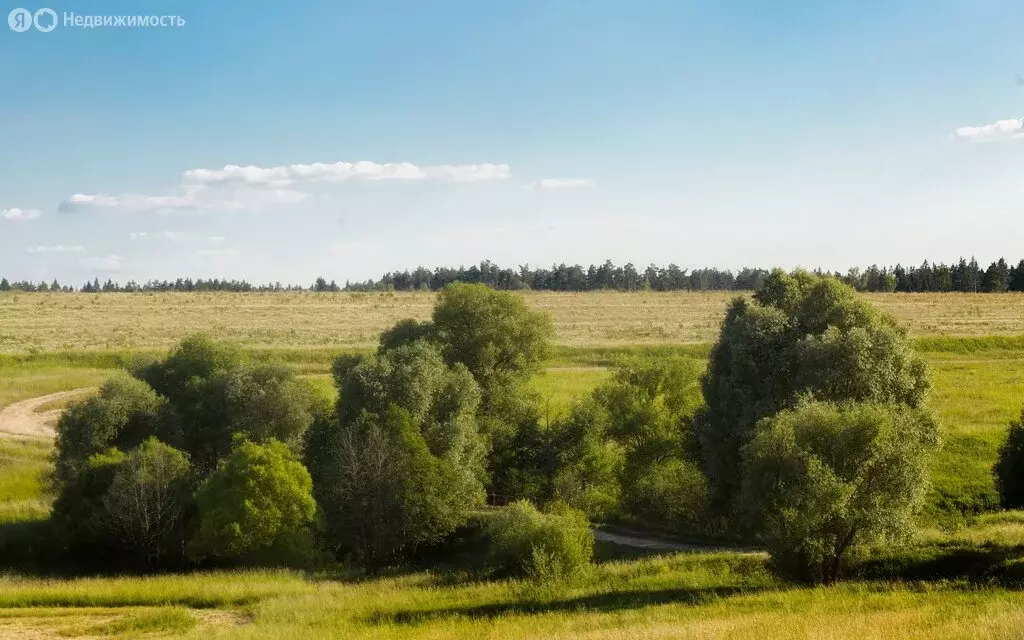 Участок в Московская область, городской округ Ступино, село Починки ... - Фото 1
