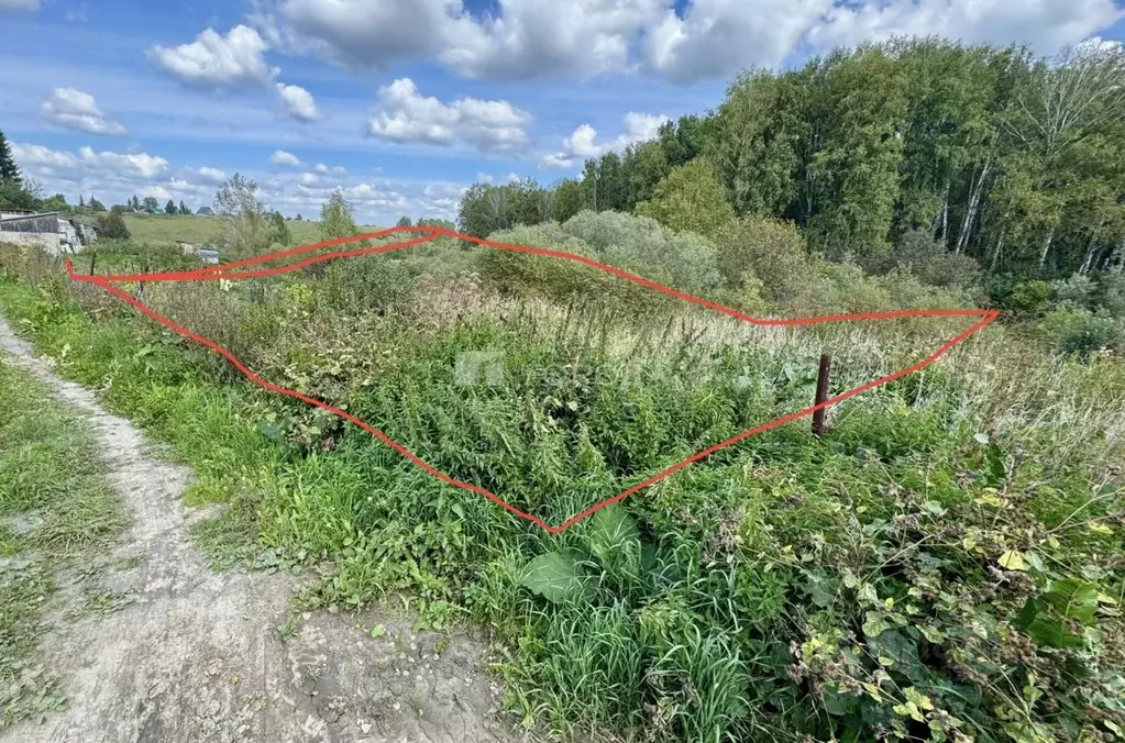 Участок в Новосибирская область, Новосибирский район, Каменский ... - Фото 1