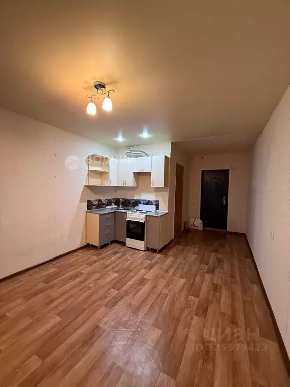 Студия Чувашия, Канаш ул. 30 лет Победы, 98 (21.6 м) - Фото 2