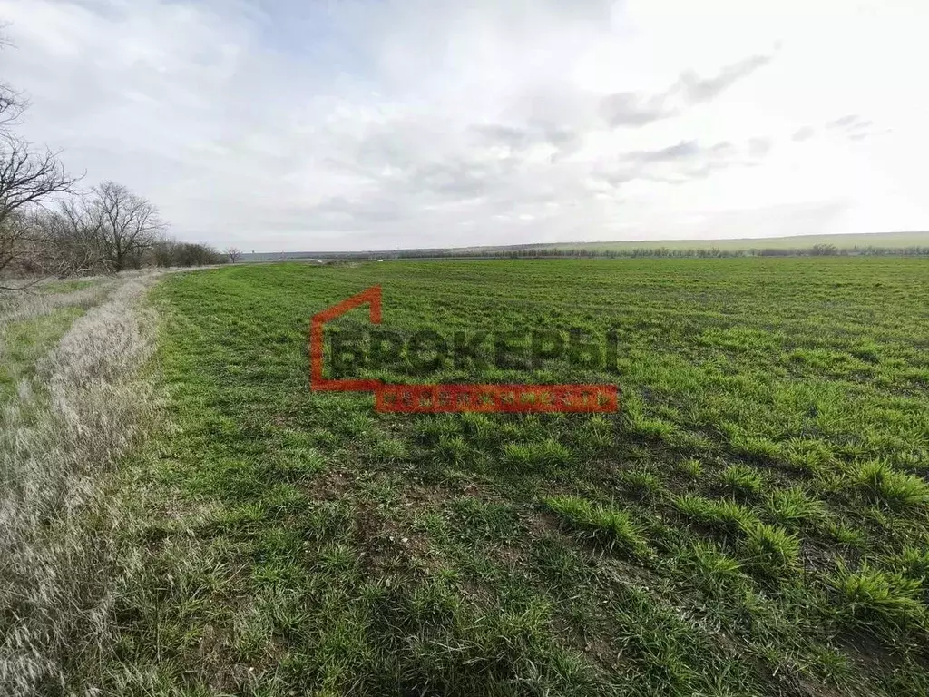 Участок в Крым, Сакский район, Ивановское с/пос, с. Жаворонки ул. ... - Фото 1