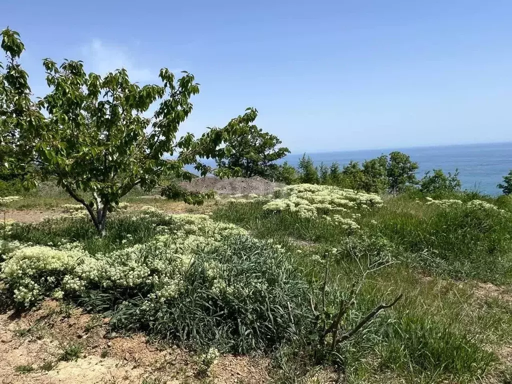 Участок в Крым, Алушта муниципальный округ, с. Малый Маяк  (14.0 сот.) - Фото 0