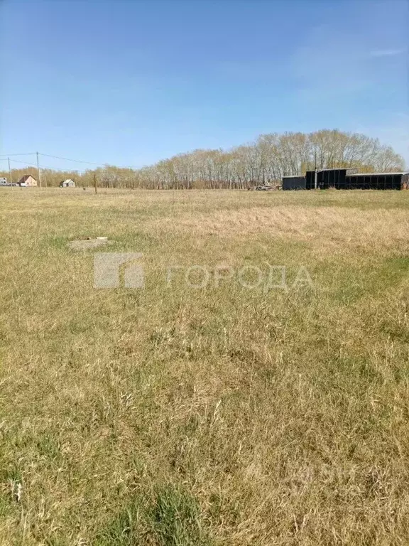Участок в Алтайский край, Барнаул городской округ, пос. Центральный ... - Фото 1