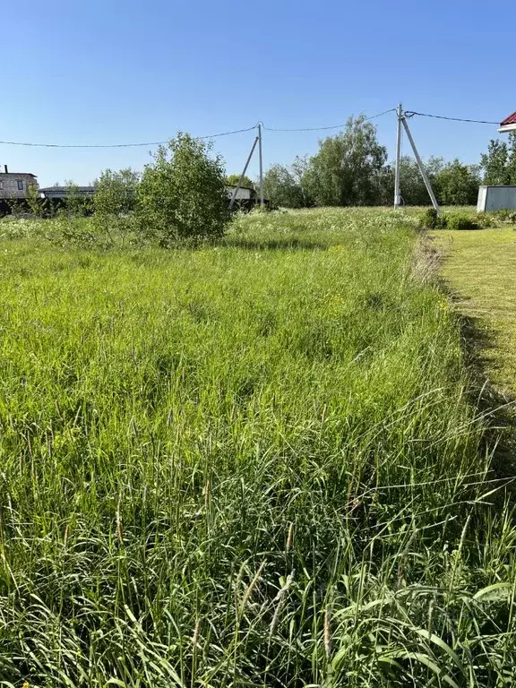 Участок в Ленинградская область, Тосненский район, Федоровское ... - Фото 2