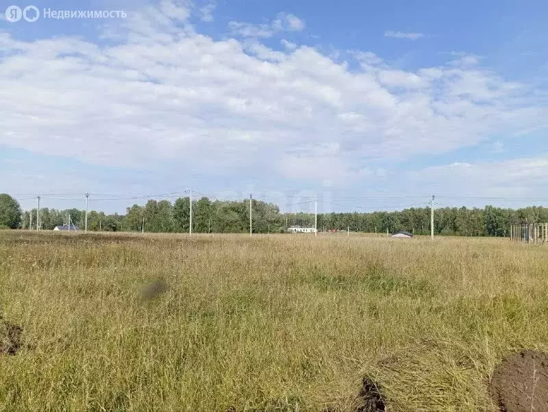 Участок в село Фирсово, микрорайон Чистые Пруды (10 м) - Фото 2