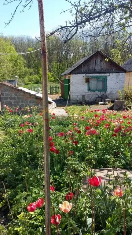 Дом в Краснодарский край, Ейское с/пос, пос. Октябрьский ул. Макаренко ... - Фото 2