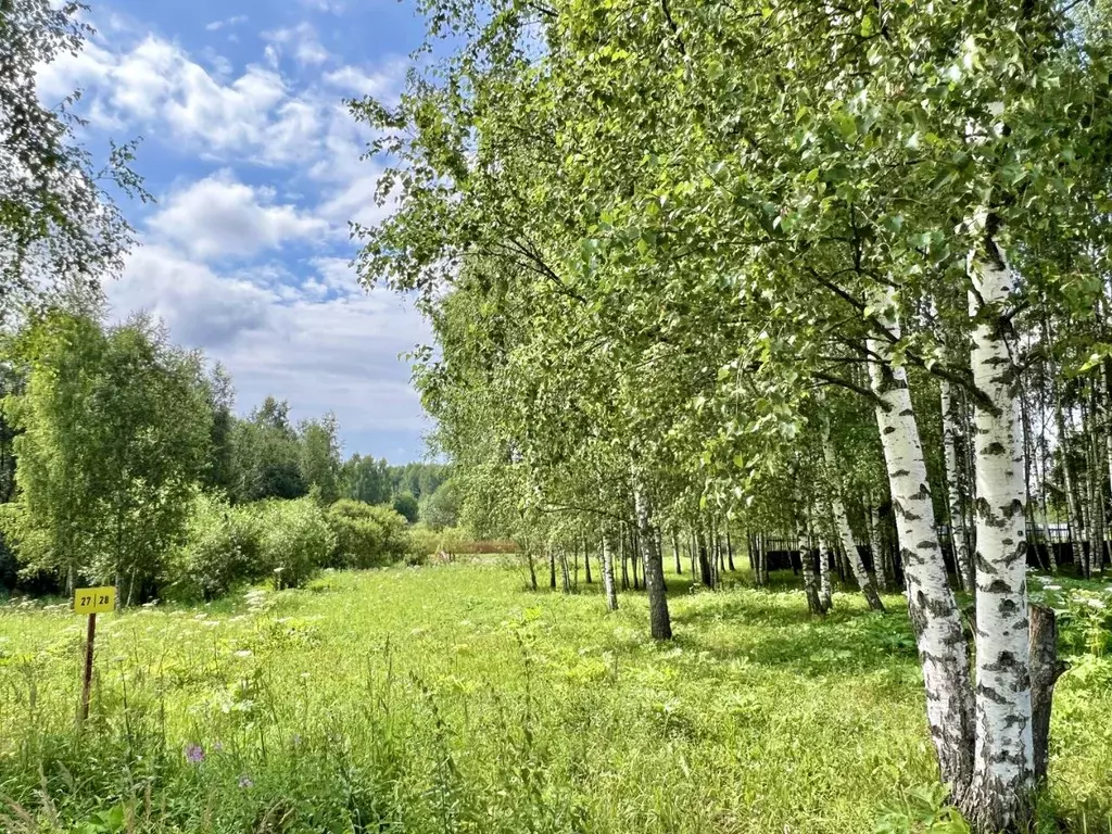 Участок в Московская область, Дмитровский муниципальный округ, ... - Фото 0