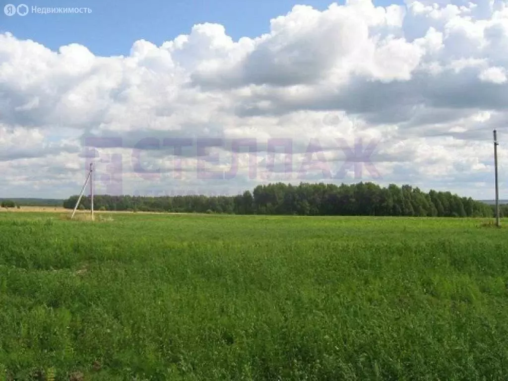 Участок в Ильичёвское сельское поселение, село Шахтино (25 м) - Фото 1