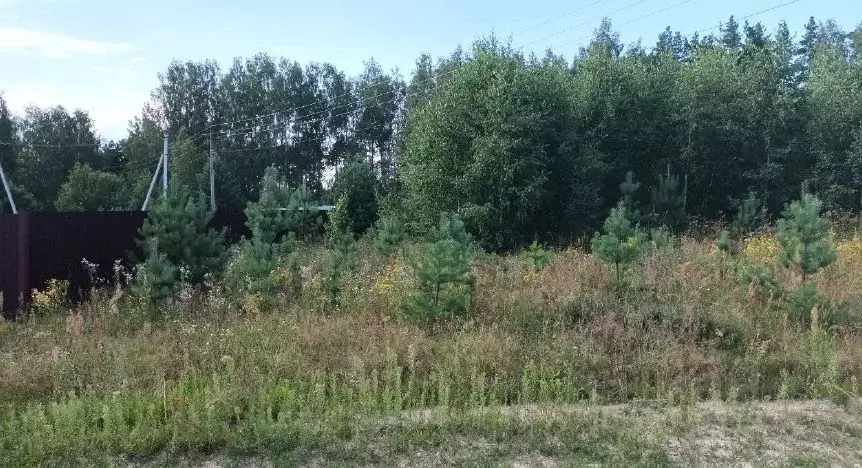 Участок в Московская область, Лосино-Петровский городской округ, д. ... - Фото 1