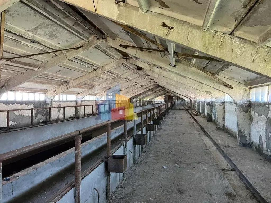 Помещение свободного назначения в Тульская область, Киреевский район, ... - Фото 1