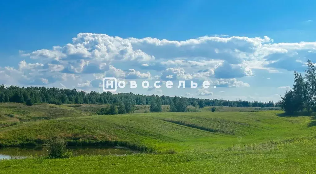 Участок в Рязанская область, Рязанский район, Вышгородское с/пос, с. ... - Фото 0