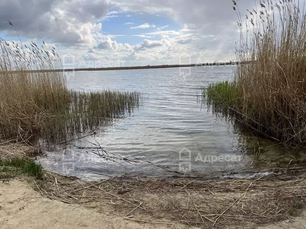 Дом в Волгоградская область, Волгоград Малинка-2 СНТ,  (40 м) - Фото 0