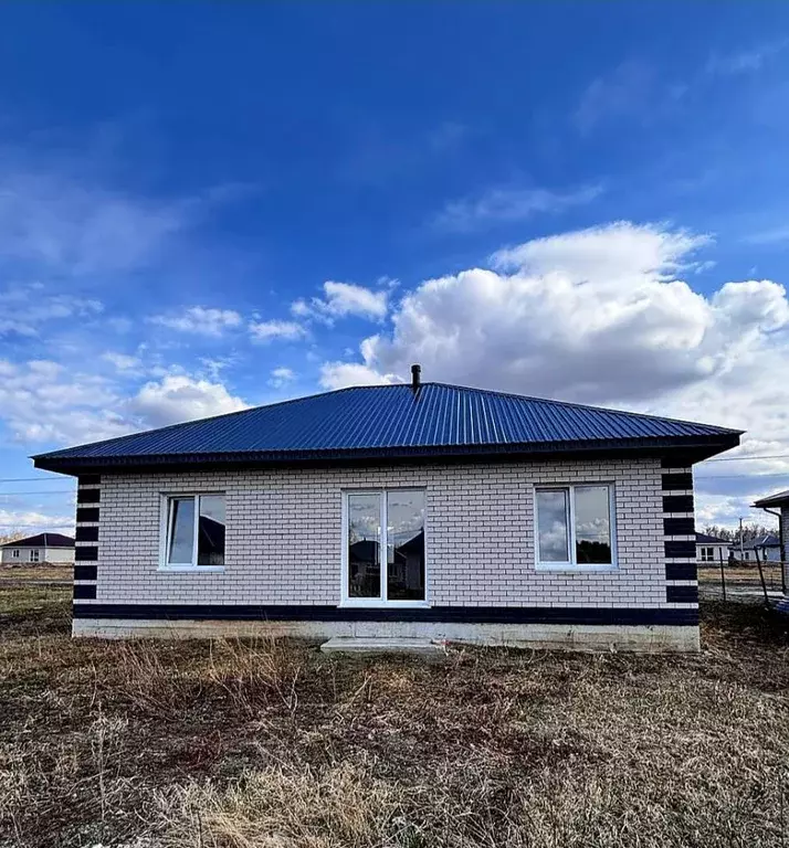 Дом в Алтайский край, Барнаул городской округ, пос. Черницк ул. ... - Фото 1