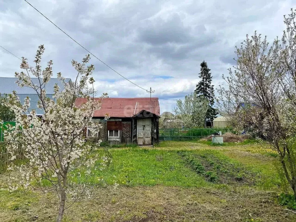 Участок в Тюменская область, Тюмень Юбилей садовое товарищество, ул. ... - Фото 0