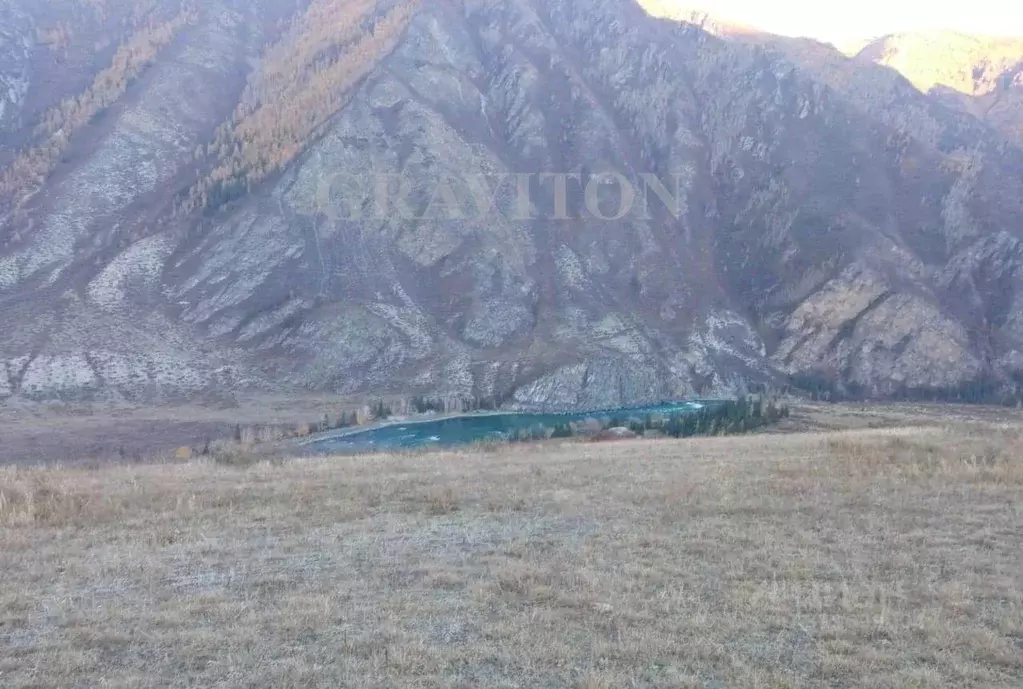 Участок в Алтай, Онгудайский район, с. Инегень Центральная ул., 15 ... - Фото 1