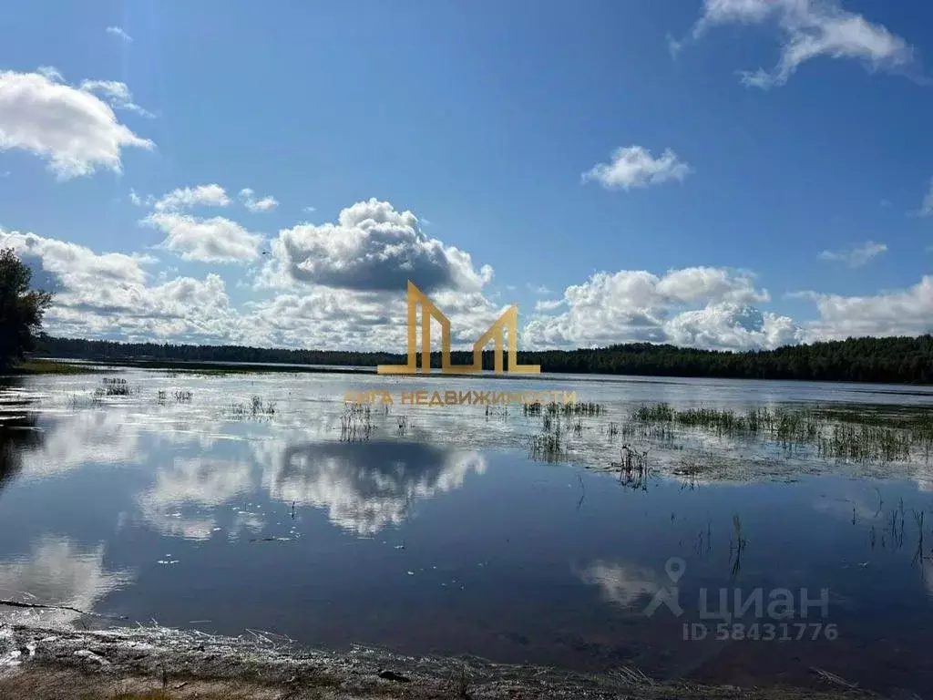 Участок в Ленинградская область, Всеволожский район, Токсовское ... - Фото 0