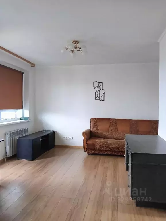 Студия Карелия, Петрозаводск ул. Чистая, 15 (33.5 м) - Фото 2