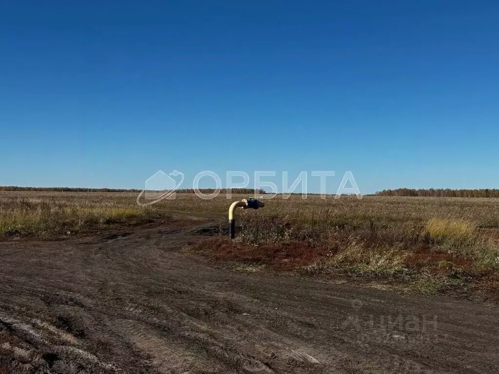 Участок в Тюменская область, Тюменский муниципальный округ, Соловьиная ... - Фото 2