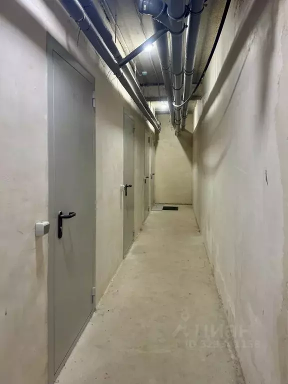 Помещение свободного назначения в Псковская область, Псков Петровская ... - Фото 1