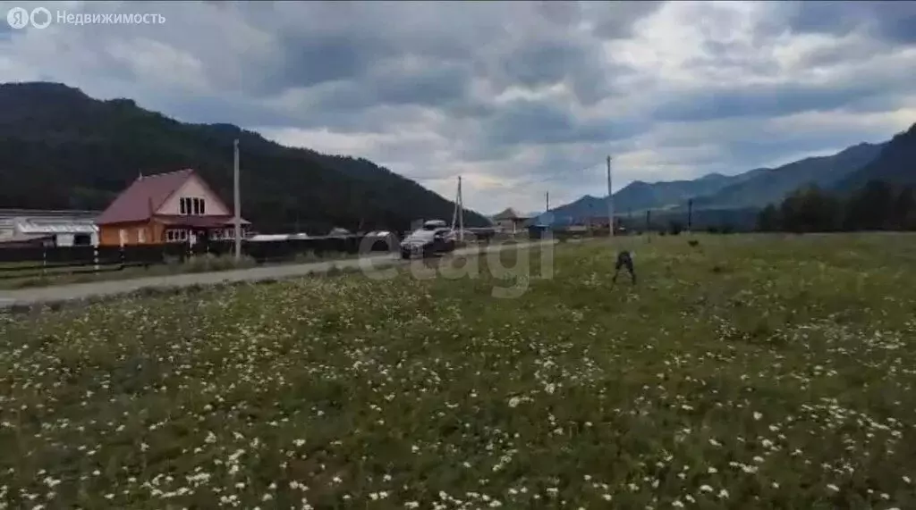 Участок в Чемальский район, Узнезинское сельское поселение, село ... - Фото 1