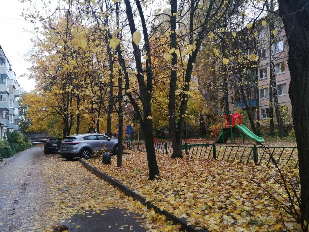 3-комнатная квартира: Калуга, улица Платова, 8 (55.5 м) - Фото 1