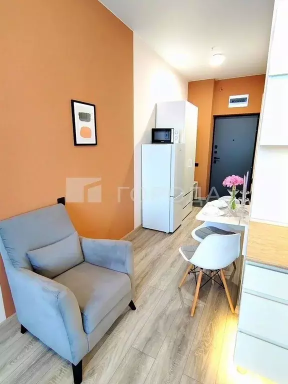 Студия Новосибирская область, Новосибирск Ипподромская ул., 15 (21.0 ... - Фото 2