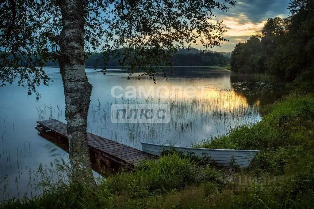 Участок в Московская область, Егорьевск муниципальный округ, д. ... - Фото 2
