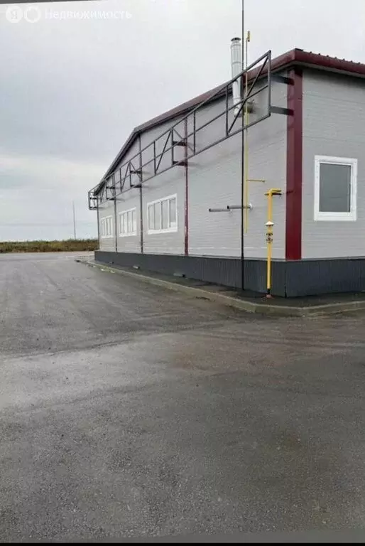 Помещение свободного назначения (1000 м) - Фото 2