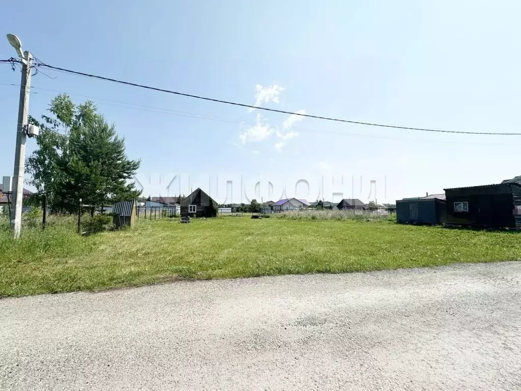 Участок в Новосибирская область, Новосибирский район, с. Боровое ул. ... - Фото 0