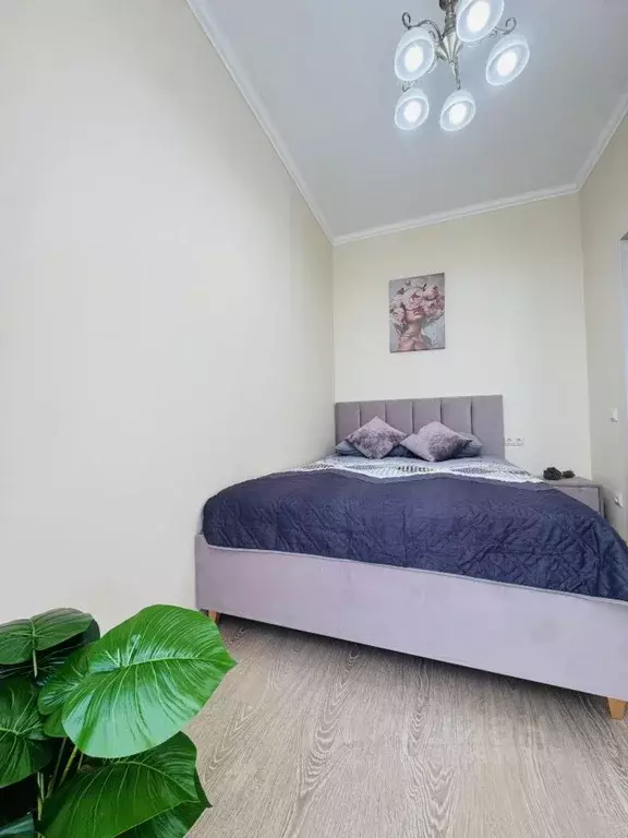 2-к кв. Краснодарский край, Сочи Каспийская ул., 68к1 (38.0 м) - Фото 2