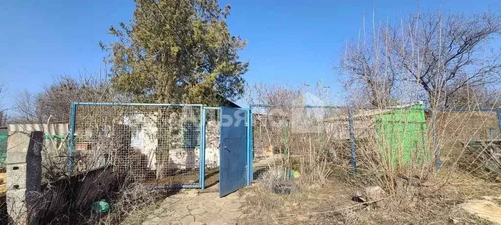 Дом в Ростовская область, Каменск-Шахтинский Заводской мкр, 4-я линия ... - Фото 1