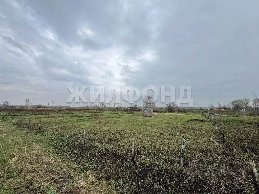 Участок в Новосибирская область, Новосибирский район, с. Криводановка ... - Фото 1