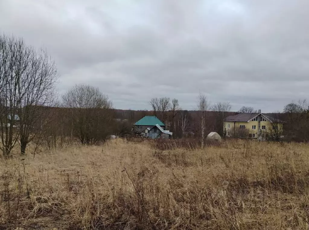 Участок в Московская область, Чехов муниципальный округ, д. Хлевино 48 ... - Фото 0