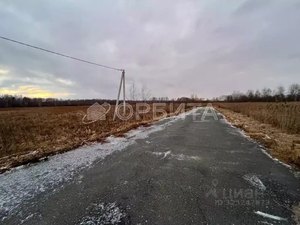 Участок в Тюменская область, Ялуторовский муниципальный округ, с. ... - Фото 2