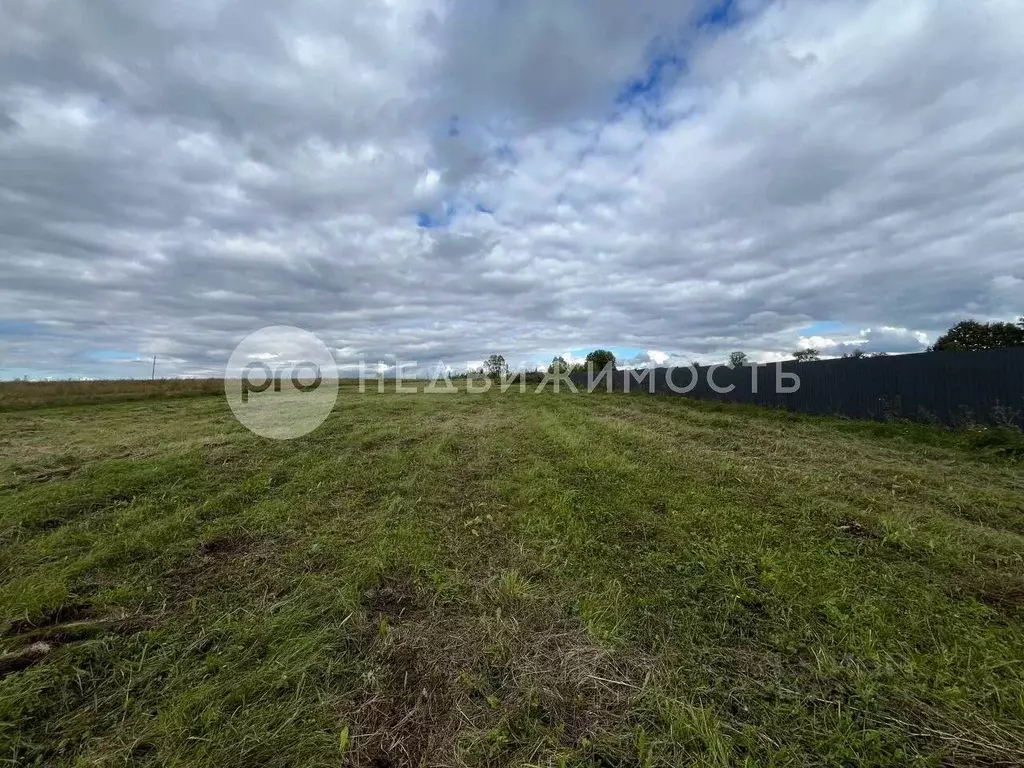 Участок в Рязанская область, Захаровский муниципальный округ, с. Осово ... - Фото 2