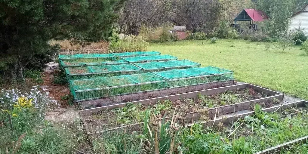 Дом в Томская область, Томск Кедр СТ,  (30 м) - Фото 2