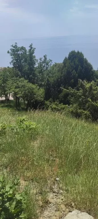 Участок в Крым, Алупка  (30.0 сот.) - Фото 2