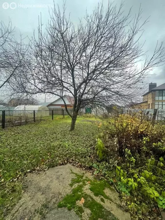 Дом в Зеленодольск, улица Толстого (37.4 м) - Фото 2