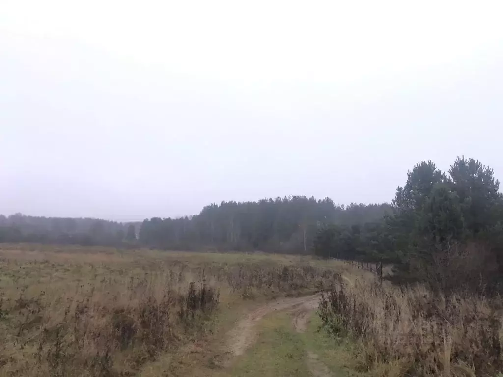 Участок в Псковская область, Псковский район, Середкинская волость, д. ... - Фото 2