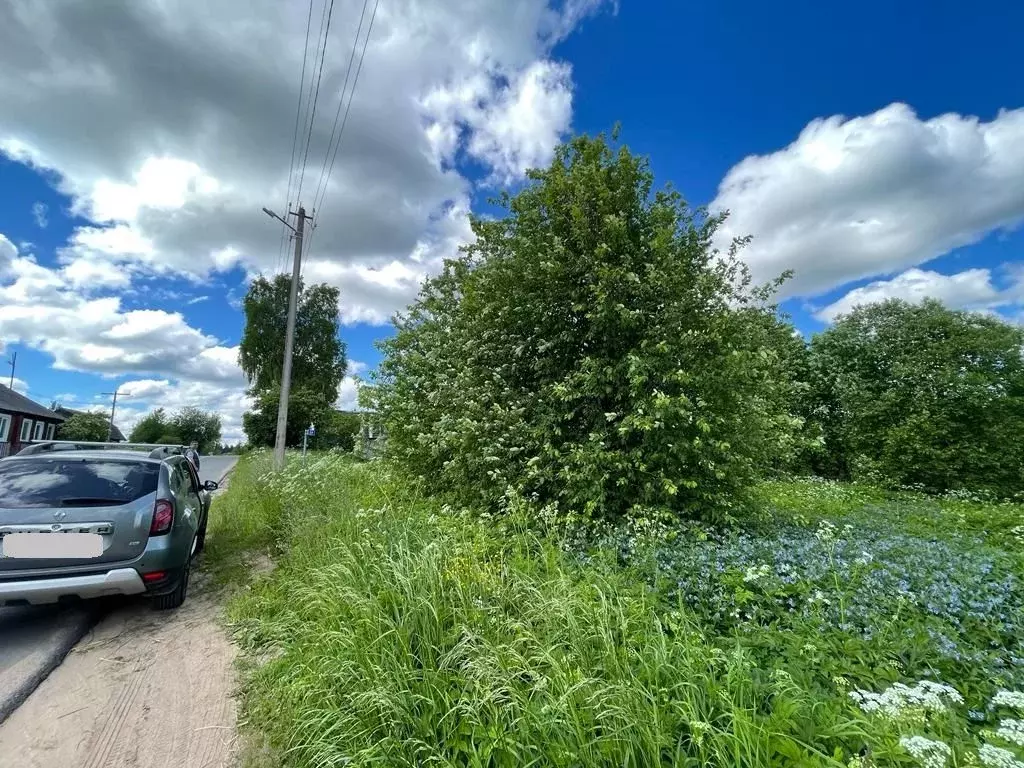 Погода ивантеево новгородской. Ивантеево Новгородская область. Д.Ивантеево Новгородская область.