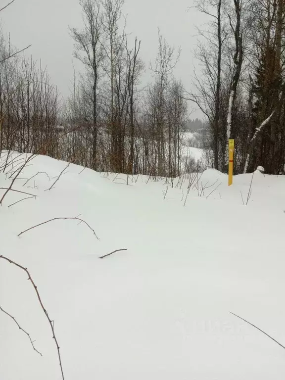 Участок в Архангельская область, Приморский муниципальный округ, ... - Фото 1